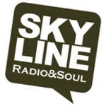 Logo of Skyline android Application 